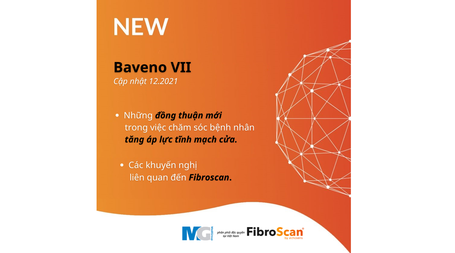 Khuyen-cao-moi-to-chuc-dong-thuan-Baveno-VII-fibroscan-echosens-cap-lsm-vcte - Copy