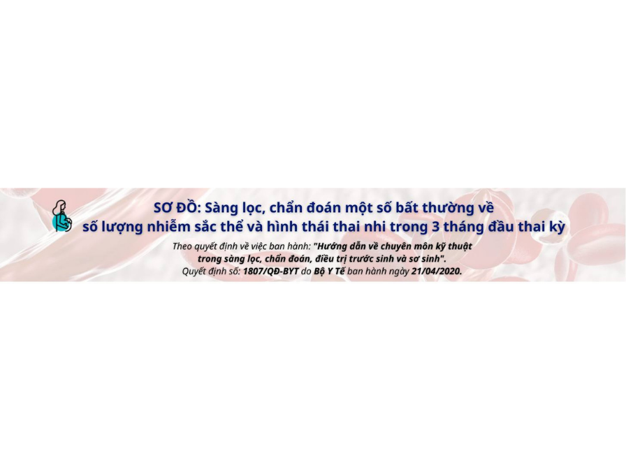 Sang-loc-chan-doan-bat-thuong-ve-so-luong-nhiem-sac-the-hinh-thai-thai-nhi-trong-3-thang-dau-thai-ky