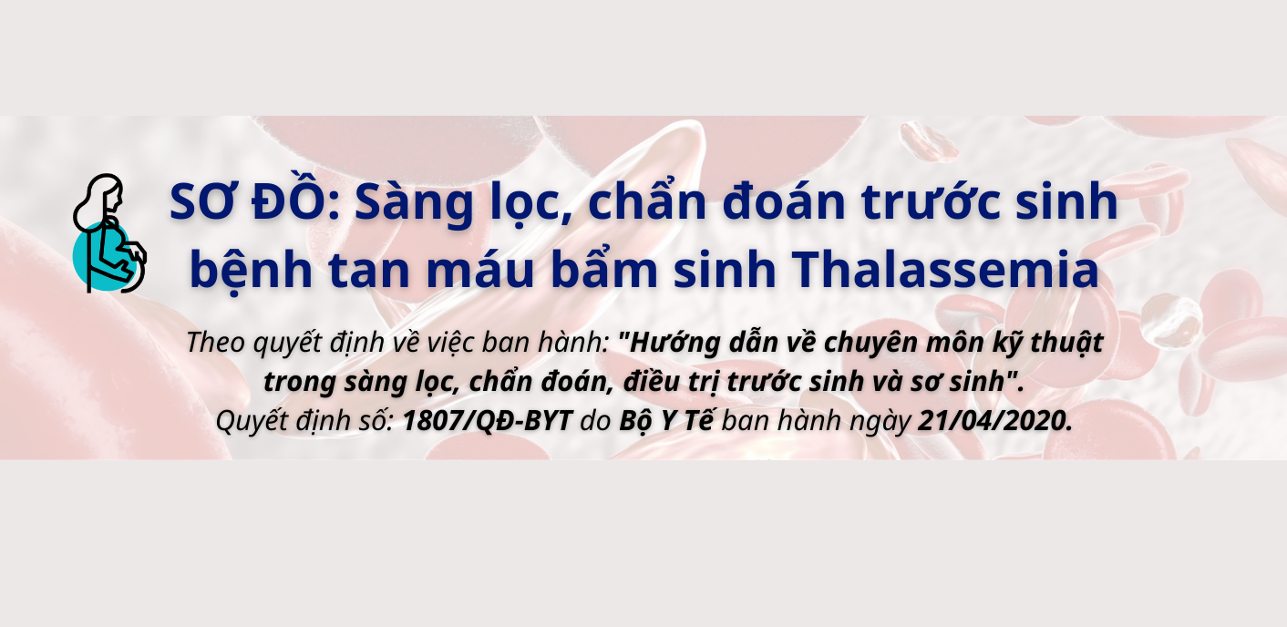 So-do-sang-loc-chan-doan-truoc-sinh-benh-tan-mau-bam-sinh-thalassemia-sebia