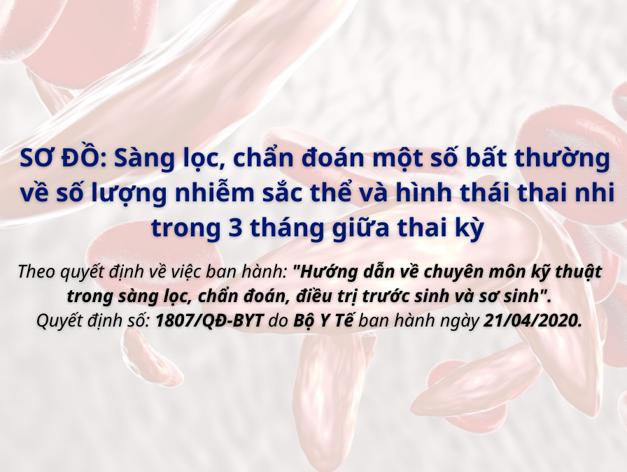 So-do-sang-loc-chan-doan-bat-thuong-ve-so-luong-nhiem-sac-the-hinh-thai-nhi-trong-3-thang-giua-thai-ky-medigroup-sebia-website