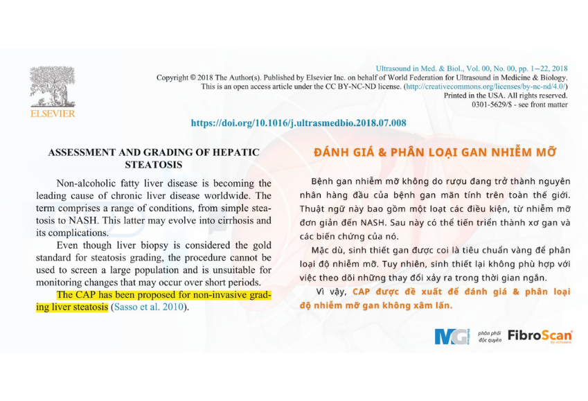 Đánh giá và phân loại gan nhiễm mỡ bằng công nghệ CAP