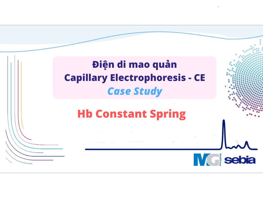 CE - Case study I Hb Constant Spring